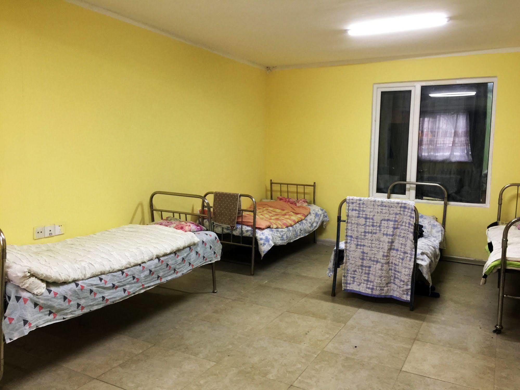 Travel Mongolia Guesthouse أولان باتور المظهر الخارجي الصورة